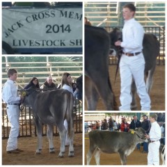 Avery Holcomb, Como-Pickton FFA