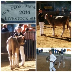 Caden Anglin, Como-Pickton FFA