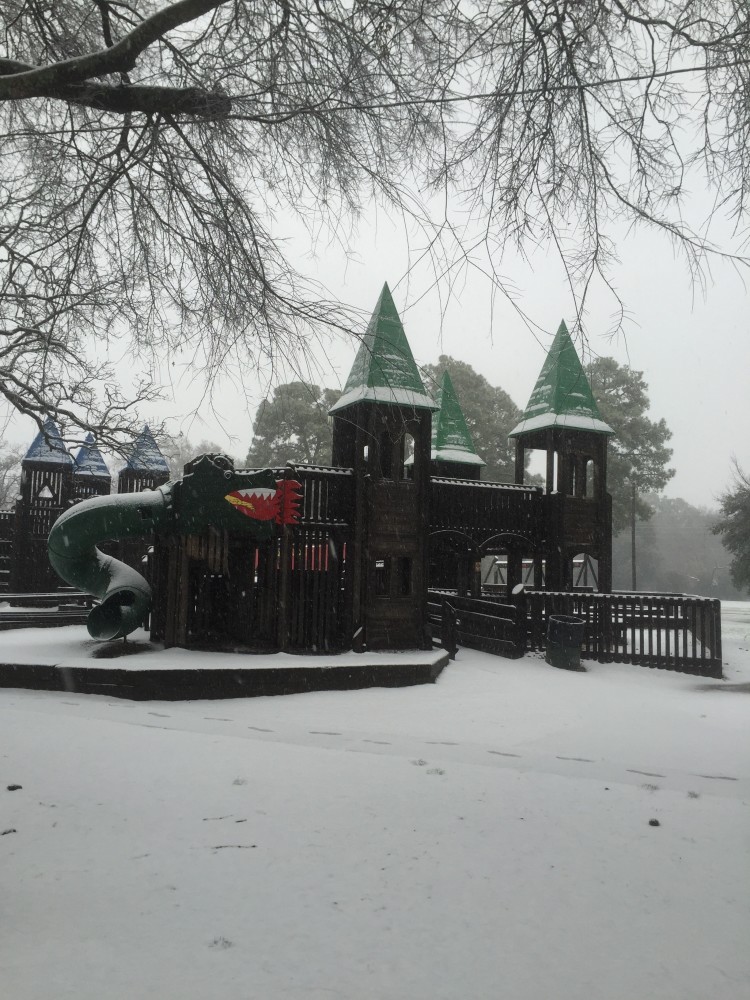 kids kingdom snow