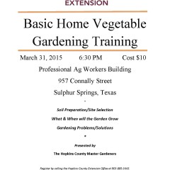 Basic Home Vegetable Gardening Training