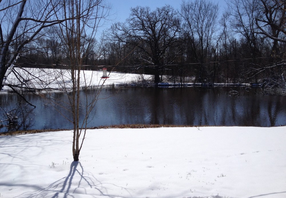 Snow Pond