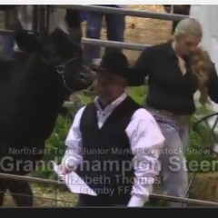 Hopkins County Junior Market Show, Sale of Champions