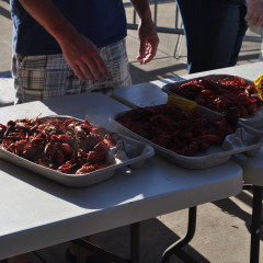 “Claws for a Cause” has indoor dining too!