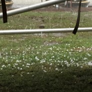 Lightning, Hail, High Wind as Thunderstorms Move Across Area
