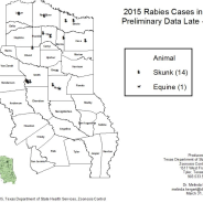 Rabies Report, 2015 First Quarter