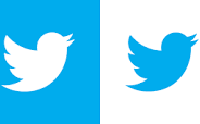 “Updated” SSHS Seeking Bully Tweeter