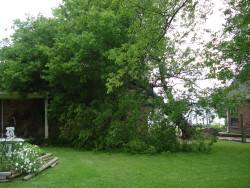 DSC06956