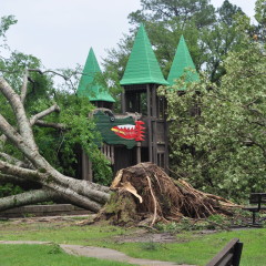 Buford Park Damaged by Severe Storm