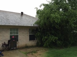 502 Woodlawn St. Mark and Patty Penny