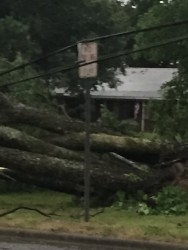 Damage on Houston St. Photo by Rhonda Young.