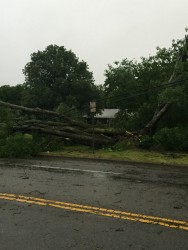 Damage on Houston St. Photo by Rhonda Young.