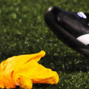 Wildcats Tackle Tough Texas High Tigers Friday