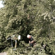 “Update” Large Number Rural Power Outages As a Result of Monday’s Storm