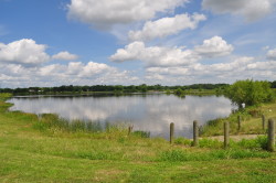 coleman lake