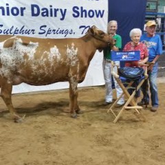 Northeast Texas Junior Dairy Show at the Dairy Festival