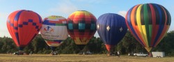 IMG_0249
