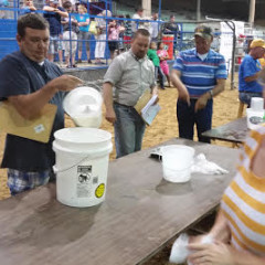 Milking Contest a Dairy Festival Highlight