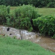 Ag Commissioner Miller Applauds Trump Administration Proposed Rewrite of EPA’s WOTUS