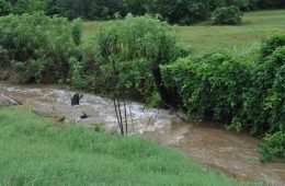 Ag Commissioner Miller Applauds Trump Administration Proposed Rewrite of EPA’s WOTUS