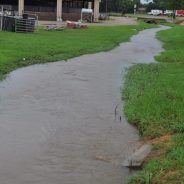 Rain Causes Cancellation of Thursday Sports Events