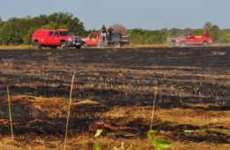 Governor Abbott Activates Additional State Emergency Response Resources For Extremely Critical Wildfire Danger