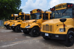 school busses