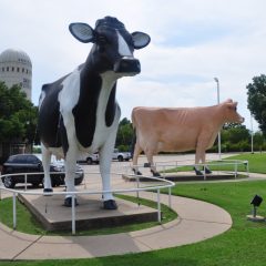 Southwest Dairy Museum and Education Center