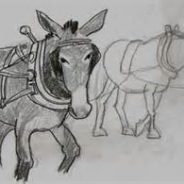 Hopkins County Courthouse Anniversary Revives Story of Pete the Mule