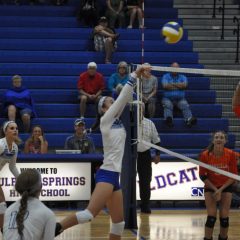 Lady Cats Win Home Opener