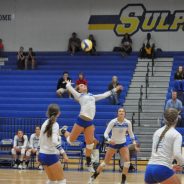 Lady Cats Volleyball Scrimmage Friday