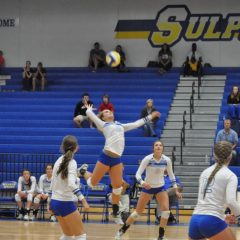 Lady Cats Volleyball Scrimmage Friday