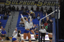 Ladycats vs Hallsville 9/22/15