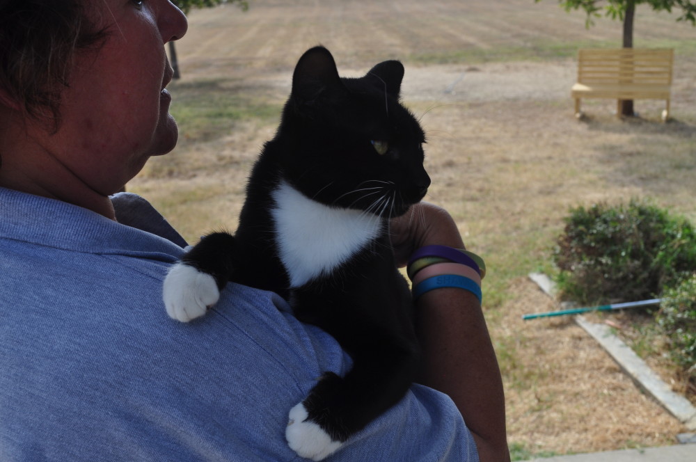 Sylvester