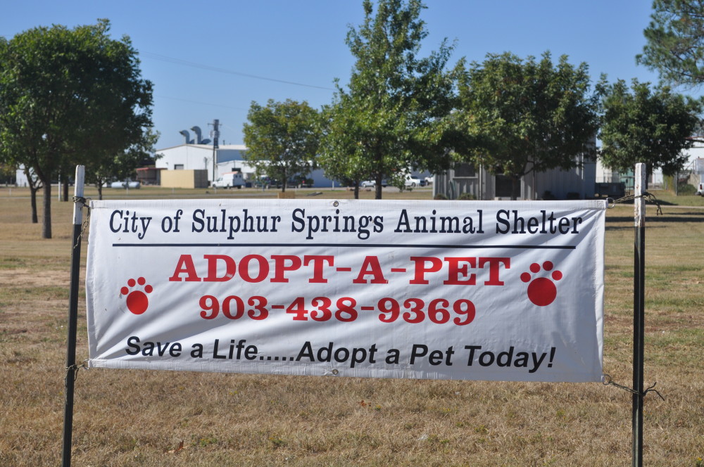 Animal Shelter