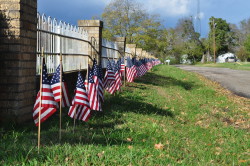 Veteran's Day