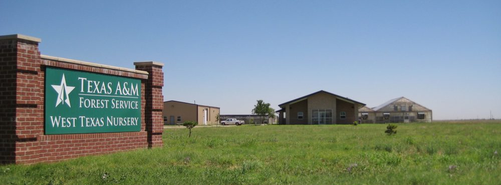 Texas A&M Forest Service