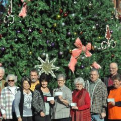 DBA Rewards Christmas Light Contest Winners