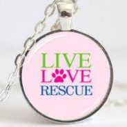 Hearts of Life Presents Brent for Adoption