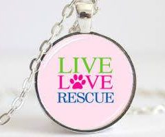 Hearts of Life Presents Brent for Adoption