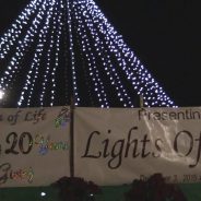 20th Annual Lights of Life at The Gardens of Memorial
