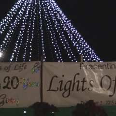 20th Annual Lights of Life at The Gardens of Memorial