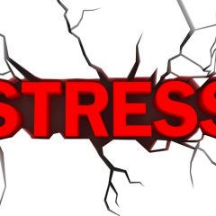 Sulphur Springs ISD and the War Against Stress