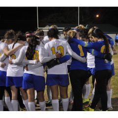 Lady Cats Regional Quarterfinal Set for Tuesday