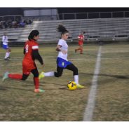 Lady Cats Soccer Shut Down Marshall 3-0