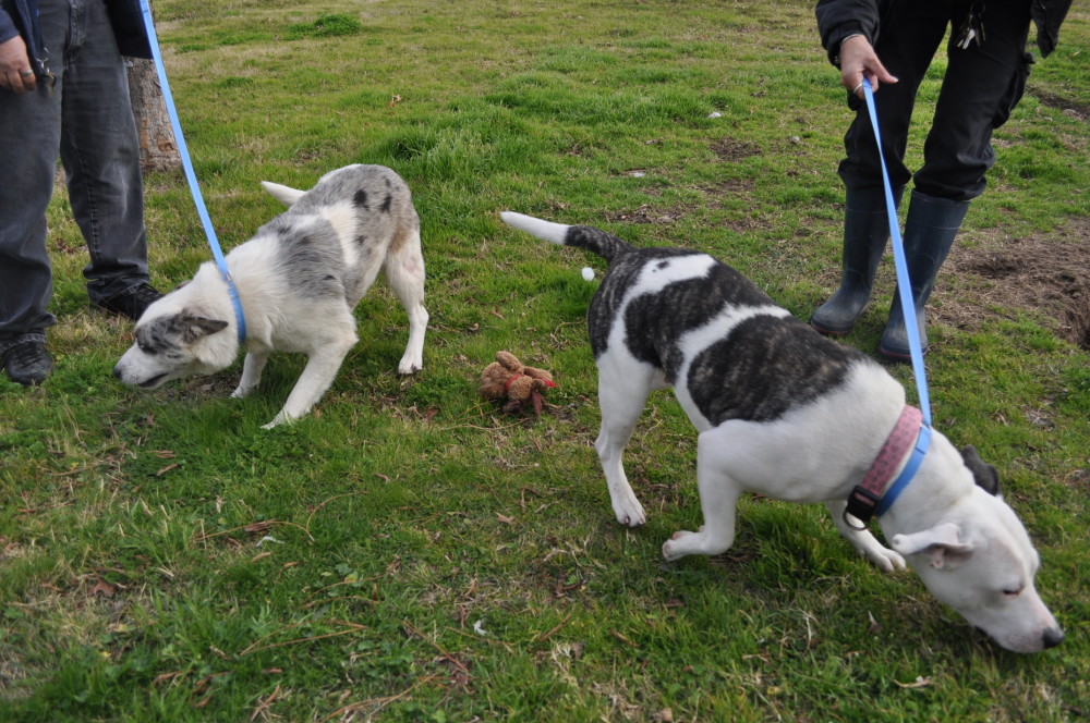 Lavern is on the right.