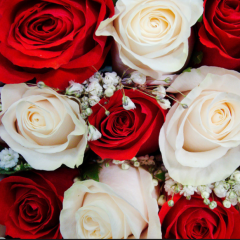 Thanks from Rose Peters to the Community