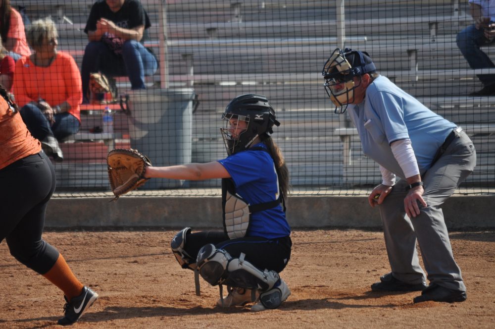 ladycat softball 16