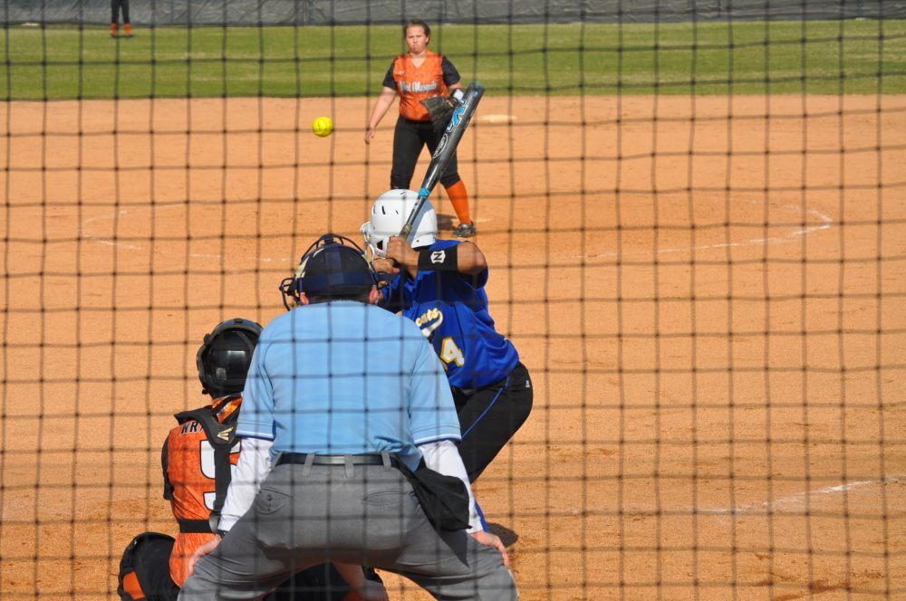 ladycat softball 16