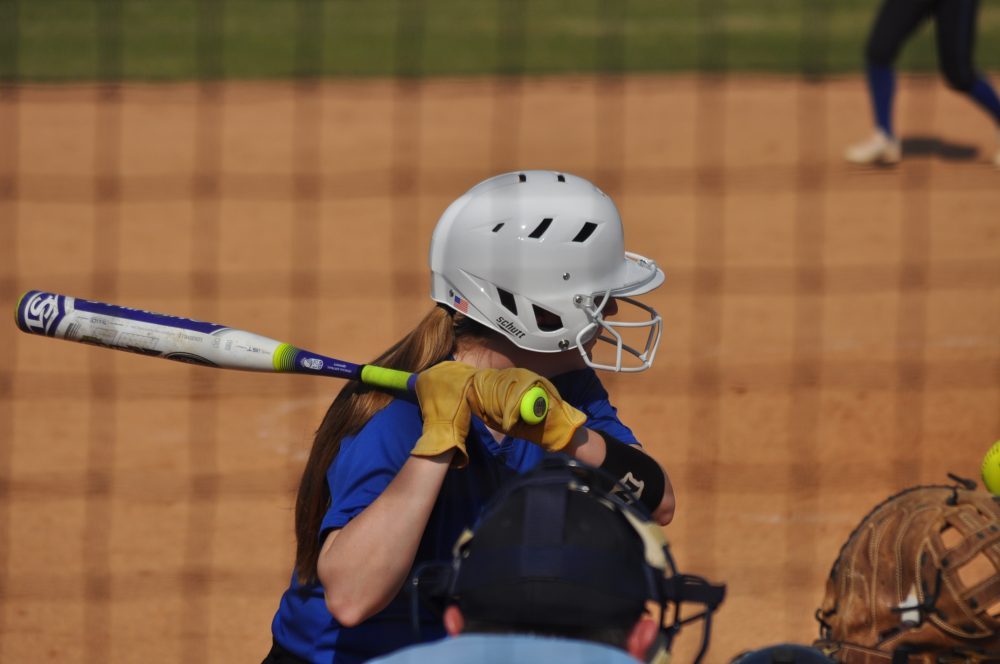 ladycat softball 16