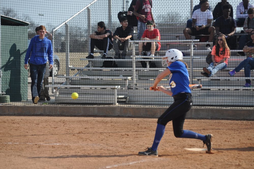 ladycat softball 16
